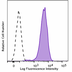 Purified anti-mouse Podoplanin Recombinant Antibody (100902)