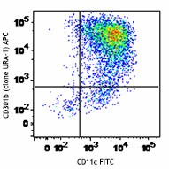 APC anti-mouse CD301b (MGL2) Antibody (146813)