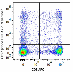 PE/Cyanine7 anti-human CD57 Antibody (359623)