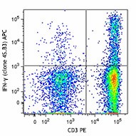 APC anti-human IFN-γ Antibody (502511)