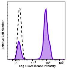 GMP FITC anti-human CD3 Antibody (260028)