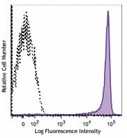 Purified anti-rat CD90 Antibody (206101)