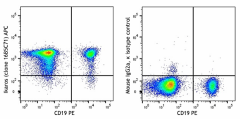 APC anti-human Ikaros Antibody (368412)