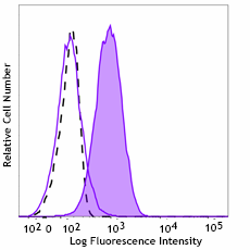 Alexa Fluor® 647 anti-FosB Antibody (600853)