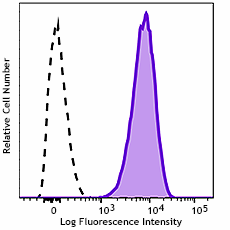 GMP PE/Cyanine7 anti-human CD13 Antibody (260276)