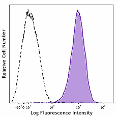 PE/Cyanine7 anti-human CD10 (982210)