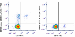 APC/Fire™ 750 anti-human CD196 (CCR6) Antibody (353442)