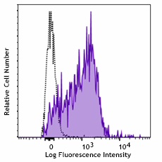 APC/Cyanine7 anti-mouse CD16.2 (FcγRIV) Antibody (149537)