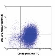 Purified anti-mouse CXCL9 (MIG) Antibody (515601)