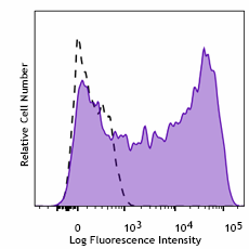 Purified anti-human CD209/CD299 (DC-SIGN/L-SIGN) Antibody (380502)