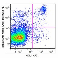 PE Donkey anti-rabbit IgG (minimal x-reactivity) Antibody (406421)