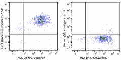 Spark YG™ 581 anti-human CD14 Antibody (367159)