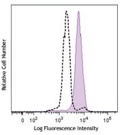 PE anti-ATM Phospho (Ser1981) Antibody (651203)