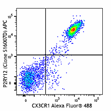 APC anti-mouse P2RY12 Antibody (848005)