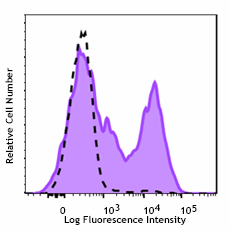 APC anti-Cleaved PARP (Asp214) Recombinant Antibody (669909)