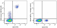 APC anti-human CD20 Antibody (375505)