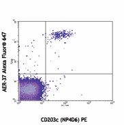 Alexa Fluor® 647 anti-human FcεRIα Antibody (334614)