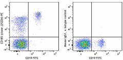 PE anti-human CD185 (CXCR5) Antibody (356903)