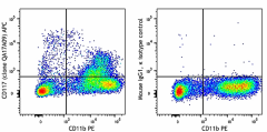 APC anti-mouse CD117 (c-kit) Recombinant Antibody (155108)