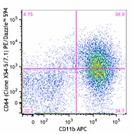 PE/Dazzle™ 594 anti-mouse CD64 (FcγRI) Antibody (139319)