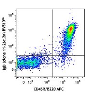 Brilliant Violet 510™ anti-mouse IgD Antibody (405723)