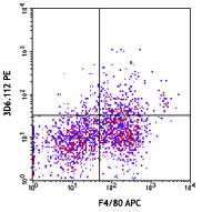 Purified anti-mouse CD169 (Siglec-1) Antibody (142401)
