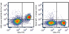 PE/Fire™ 640 anti-mouse CD95 (Fas) Antibody (152629)