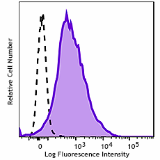 GMP PE anti-human CD134 Antibody (260456)