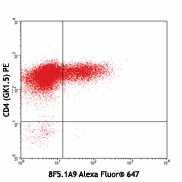 Alexa Fluor® 647 anti-mouse IL-17F Antibody (517104)