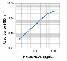 Purified anti-mouse NGAL (Lipocalin-2) Antibody (532202)