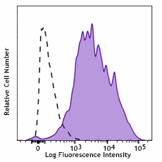 Brilliant Violet 711™ anti-mouse CD107a (LAMP-1) Antibody (121631)