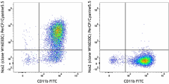 PerCP/Cyanine5.5 anti-Nos2 (iNOS) Antibody (696809)