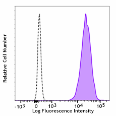 PE anti-human CD66b Antibody (392903)