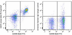 PE/Cyanine7 anti-mouse CD272 (BTLA) Antibody (139115)