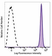 APC/Fire™ 750 anti-rat CD90/mouse CD90.1 (Thy1.1) Antibody (202543)