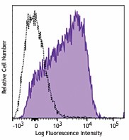 Brilliant Violet 650™ anti-human CD63 Antibody (353025)