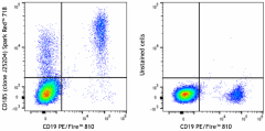 Spark Red™ 718 anti-human CD185 (CXCR5) Antibody (356961)