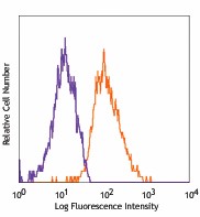 Purified anti-human CD144 (VE-Cadherin) Antibody (348501)