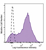 Brilliant Violet 650™ anti-human CD38 Antibody (356619)