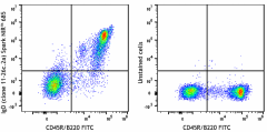 Spark NIR™ 685 anti-mouse IgD Antibody (405749)