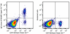 Spark YG™ 581 anti-human IgD Antibody (307805)