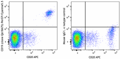 PerCP/Cyanine5.5 anti-human CD19 Recombinant Antibody (309503)