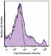 APC anti-rat CD161 Antibody (205606)