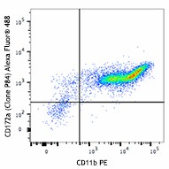 Alexa Fluor® 488 anti-mouse CD172a (SIRPα) Antibody (144023)
