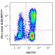 Brilliant Violet 711™ anti-human IFN-γ Antibody (502539)