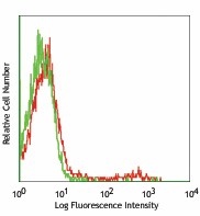 Purified anti-mouse Ig light chain λ Antibody (407302)
