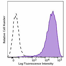 PE anti-human CD138 (Syndecan-1) Antibody (390105)