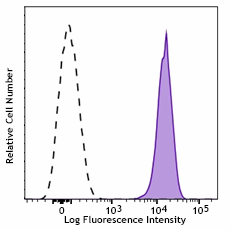 APC/Fire™ 750 anti-human EGFR Antibody (352925)