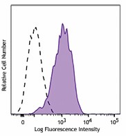 PE anti-mouse CD140a Antibody (135905)