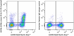 PE/Cyanine5 anti-mouse CD196 (CCR6) Antibody (129837)